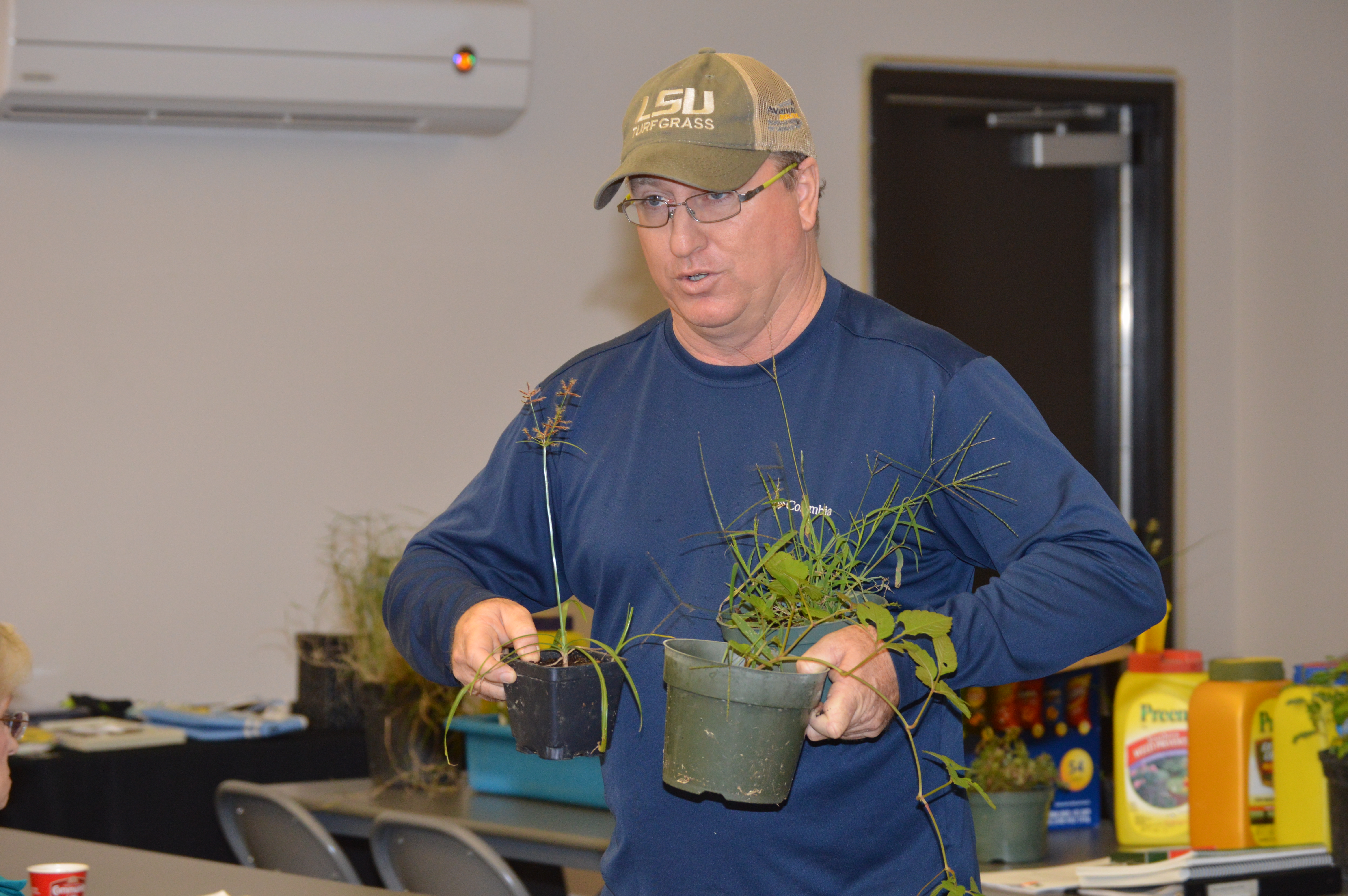Planting media affect decisions, AgCenter horticulture expert says